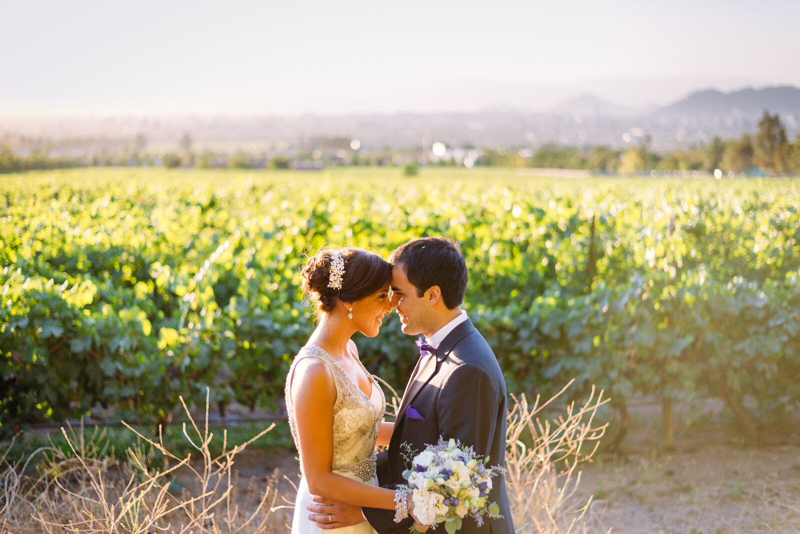 Nicole y José Manuel — Matrimonio en Casona Macul, Santiago